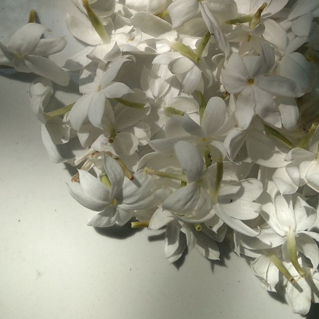 Neroli for Skincare: A Gentle Floral Ritual