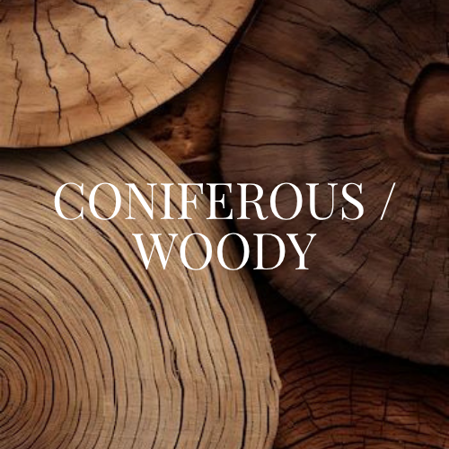 Explore by Scent - Earthy & Woody - APTIVA