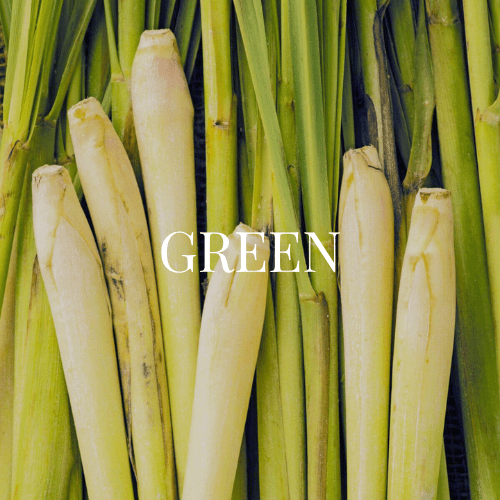 GREEN - APTIVA