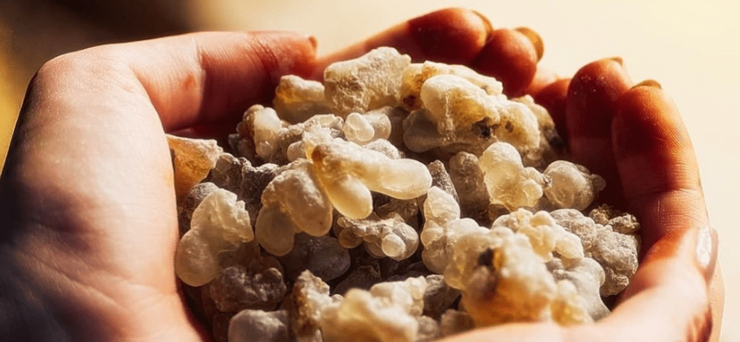 RESINOUS & EARTHY - APTIVA