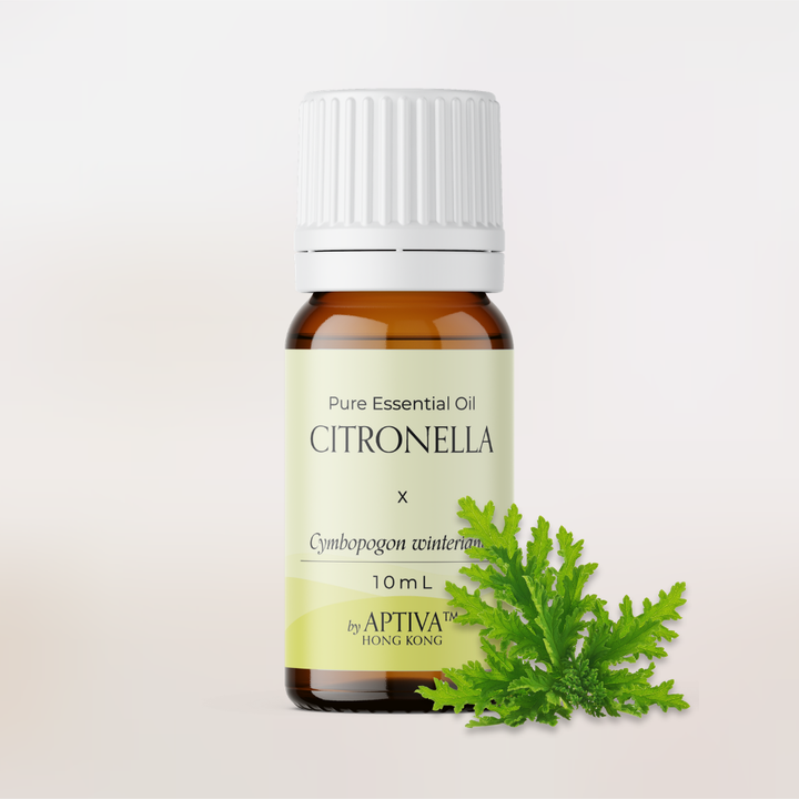 Citronella Pure Essential Oil