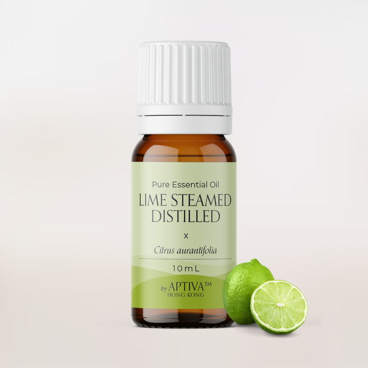 Lime Steam Distilled Pure Essential Oil
