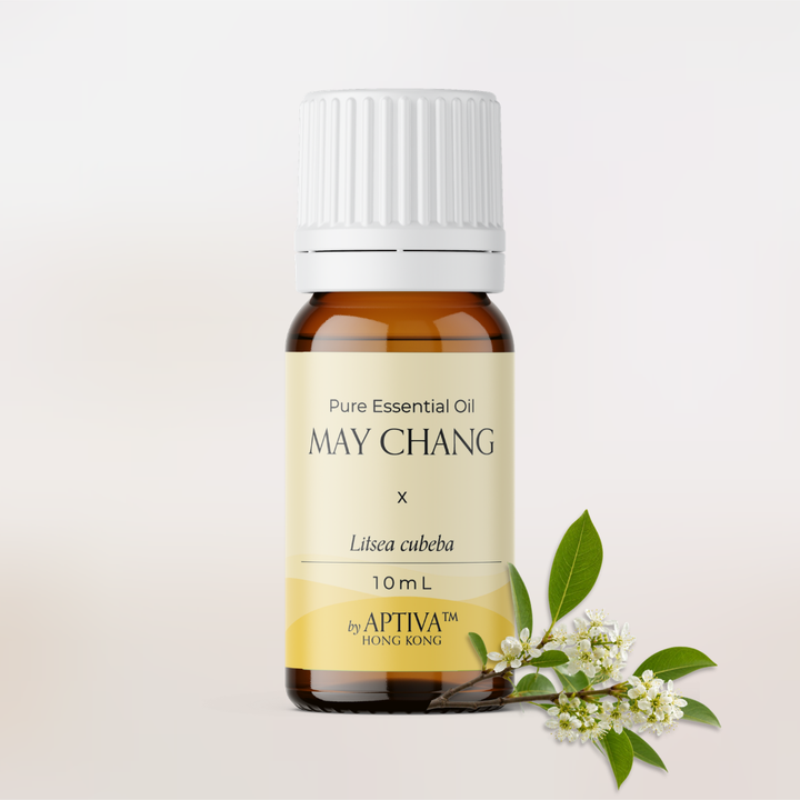 May Chang (Litsea Cubeba) Essential Oil