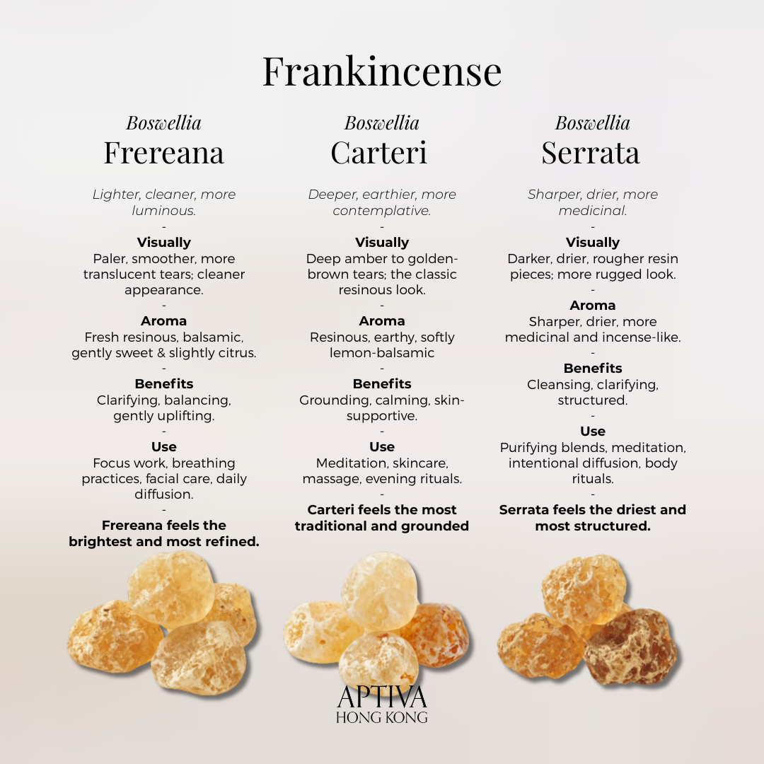Frankincense Carteri Pure Essential Oil