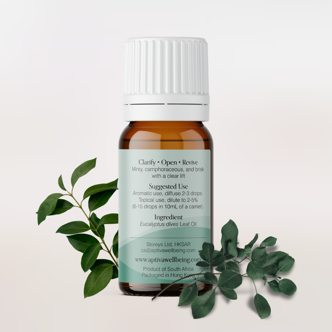 Eucalyptus Dives Essential Oil