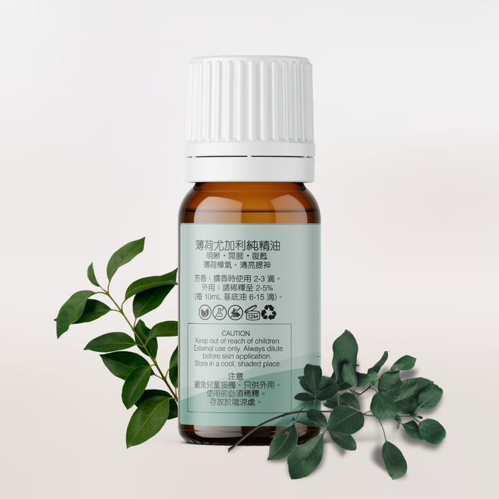 Eucalyptus Dives Essential Oil