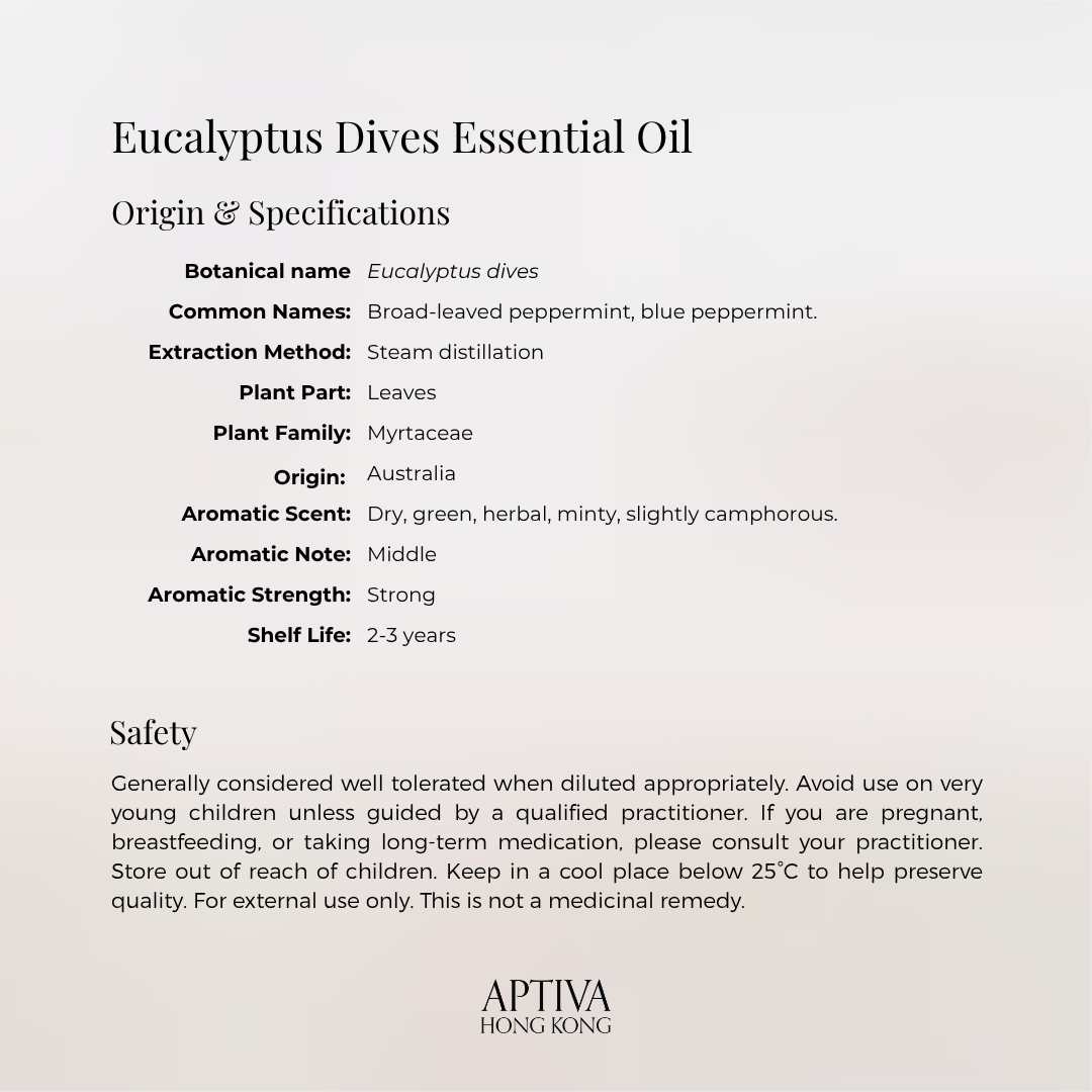 Eucalyptus Dives Essential Oil