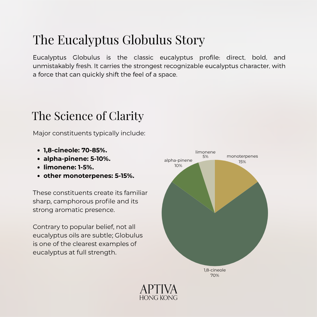 Organic Eucalyptus Globulus Essential Oil