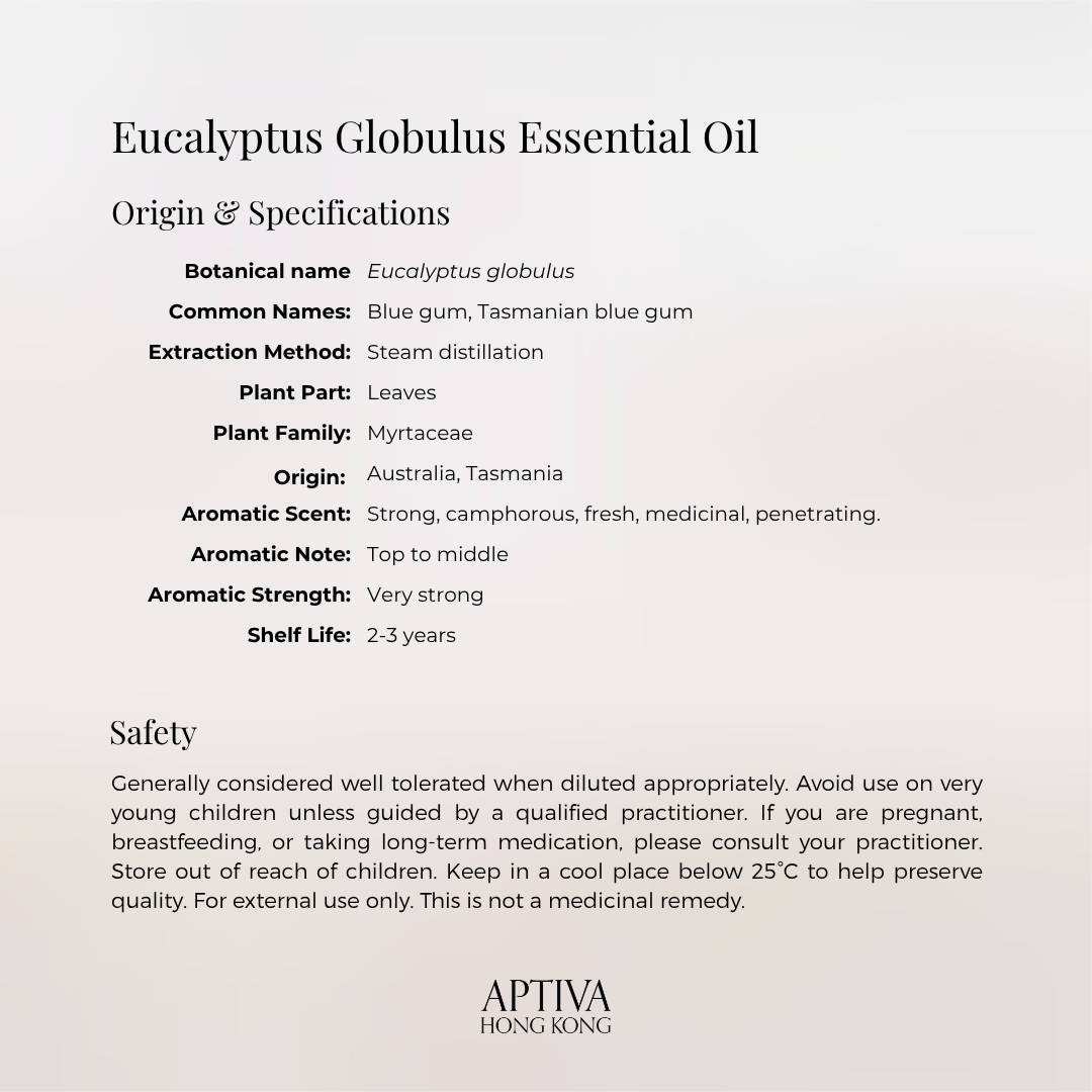 Organic Eucalyptus Globulus Essential Oil