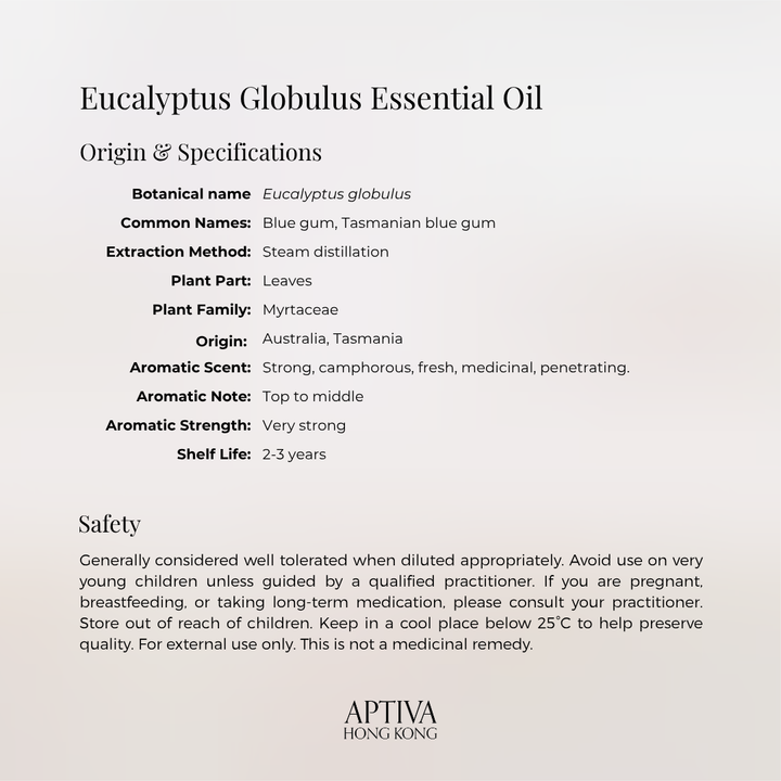 Organic Eucalyptus Globulus Essential Oil