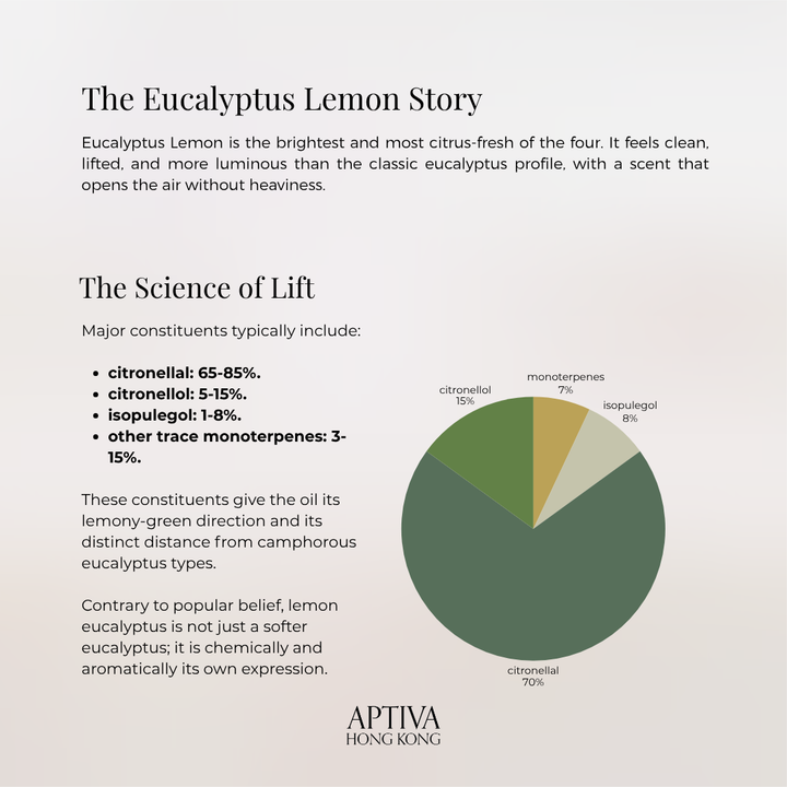 Organic Eucalyptus Lemon Essential Oil