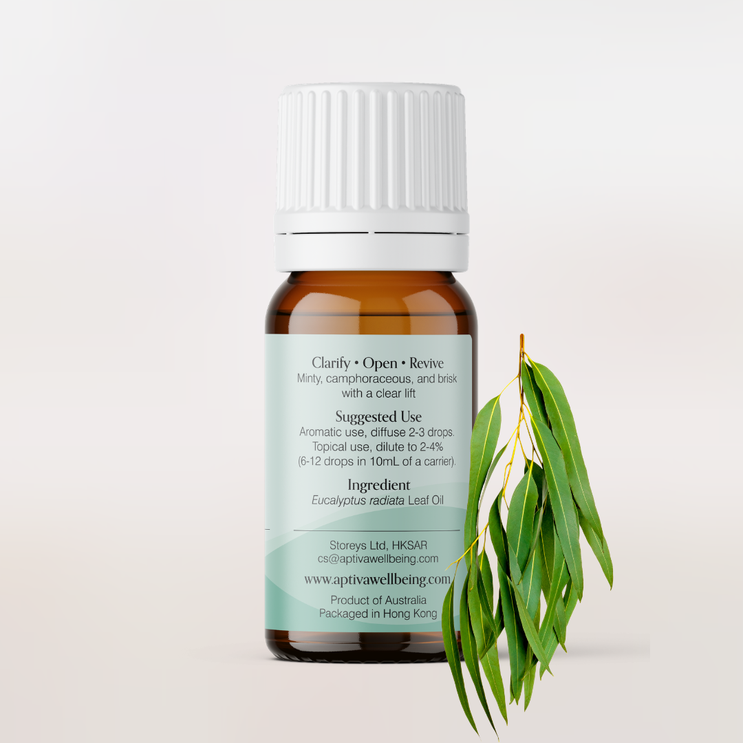 Organic Eucalyptus Radiata Essential Oil
