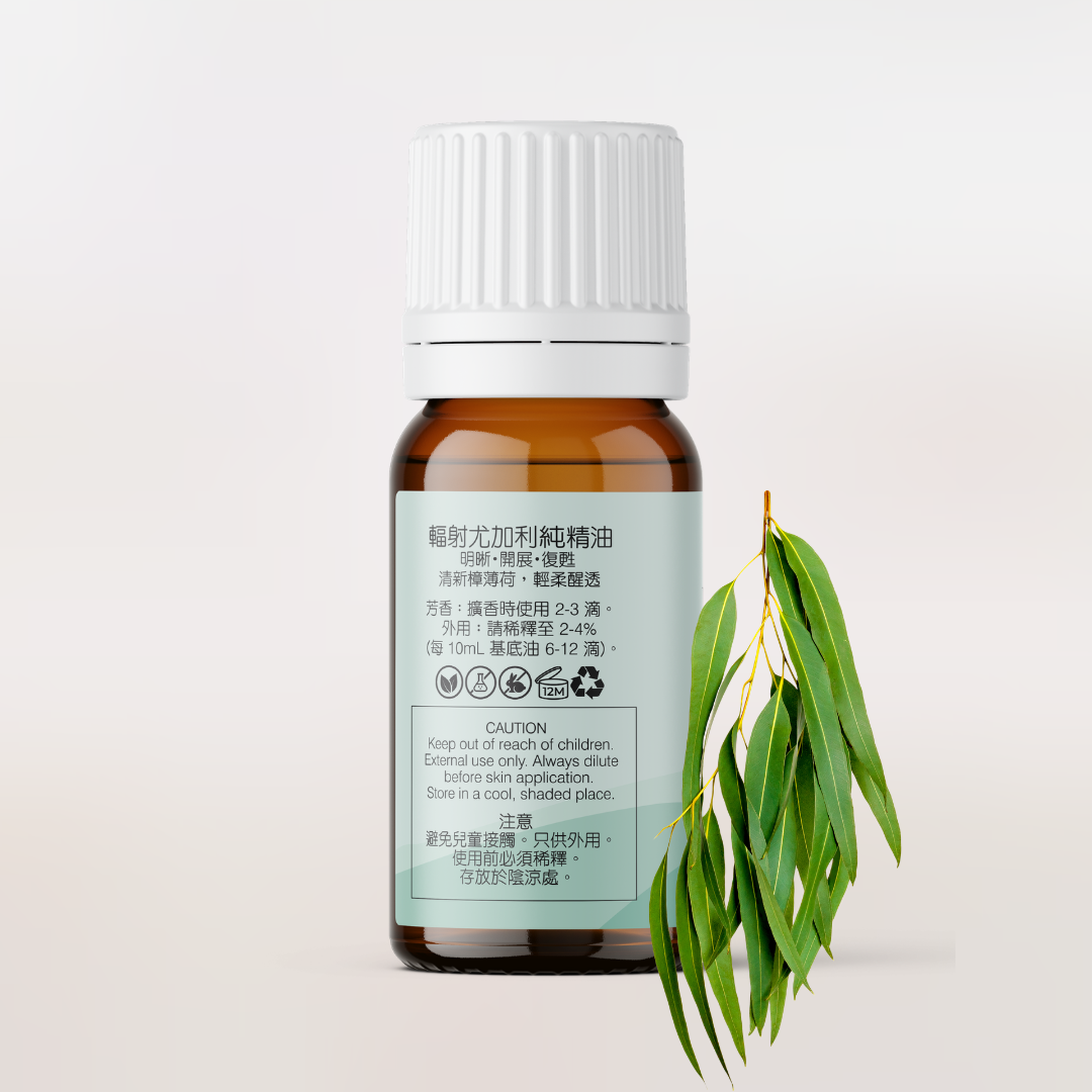 Eucalyptus Radiata Essential Oil