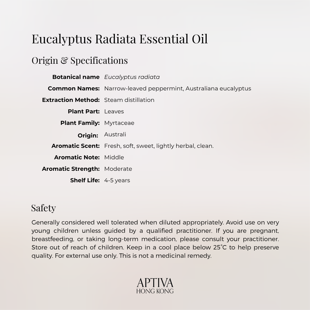 Organic Eucalyptus Radiata Essential Oil