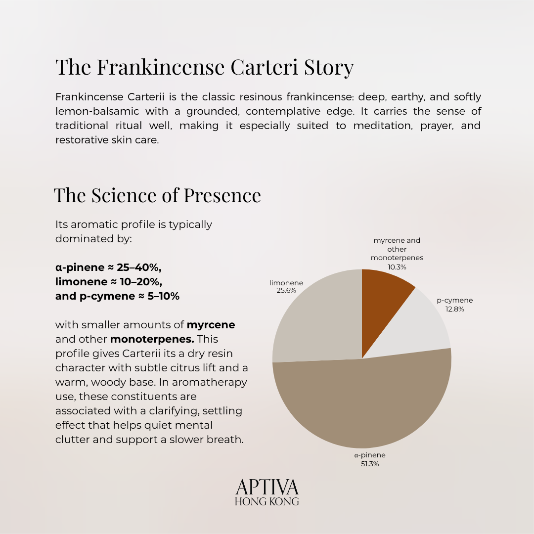 Frankincense Carteri Pure Essential Oil