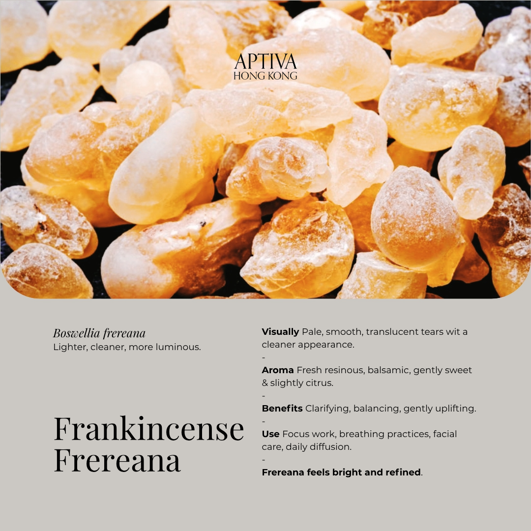 Organic Frankincense Frereana Essential Oil