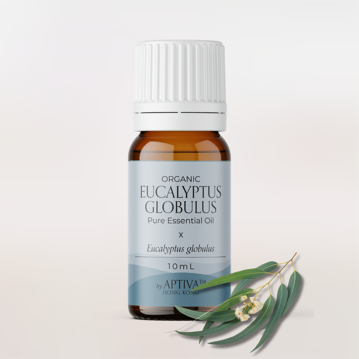 Organic Eucalyptus Globulus Essential Oil