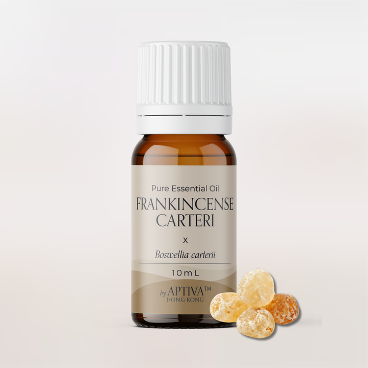 Frankincense Carteri Pure Essential Oil