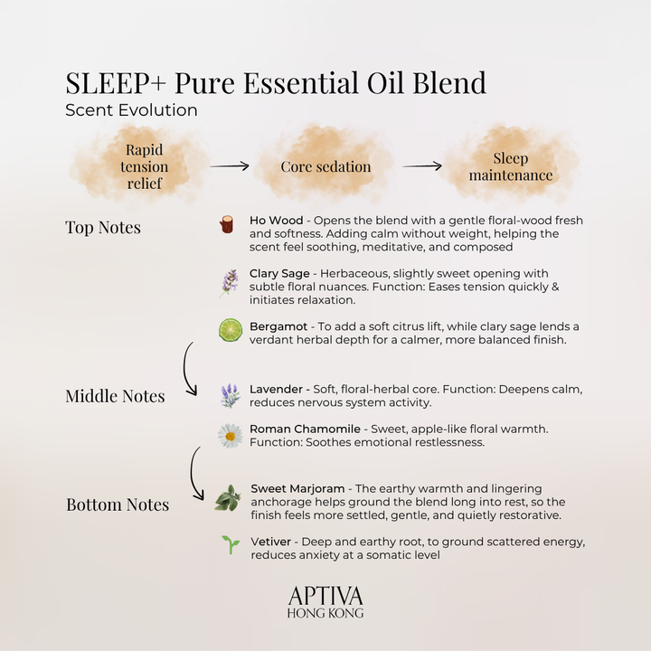 SLEEP+ Pure Essential Oil Blend