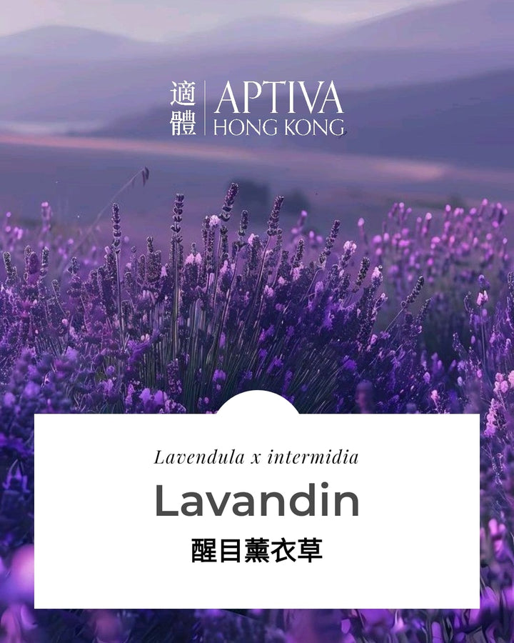 Lavandin Essential Oil - APTIVA