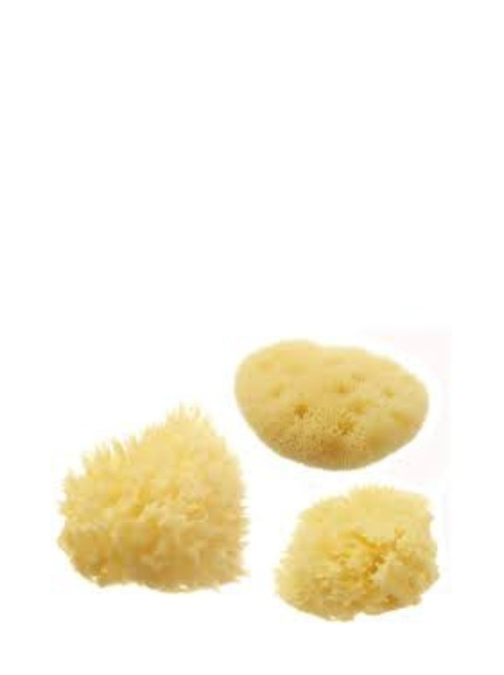 Natural Honeycomb Cosmetic Sea Sponge Set - APTIVA Sea Sponge