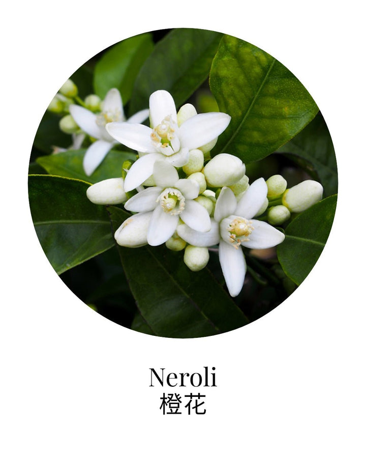 Neroli Essential Oil - APTIVA