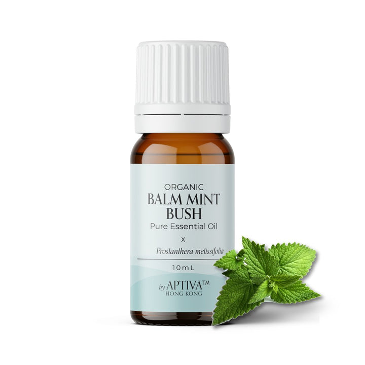 Organic Balm Mint Bush Essential Oil - APTIVA Essential Oil