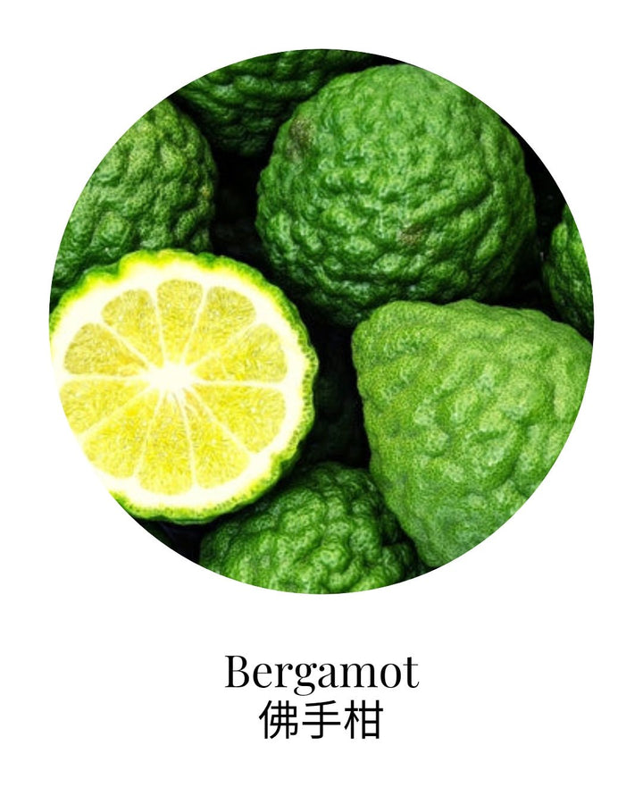 Organic Bergamot (FCF) Essential Oil - APTIVA Essential Oil