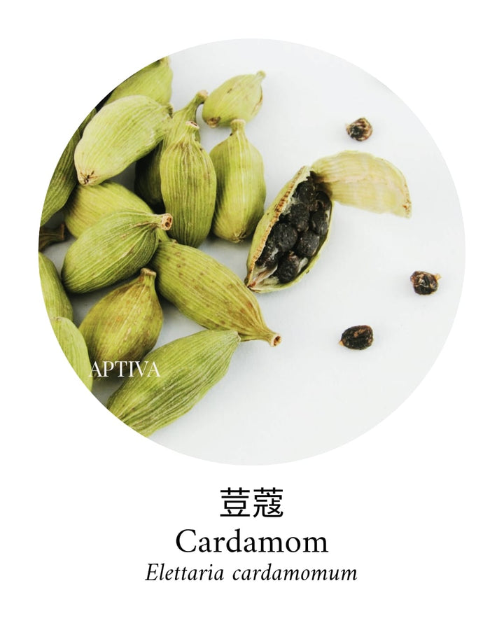 Organic Cardamom Essential Oil - APTIVA Default Title Essential Oil