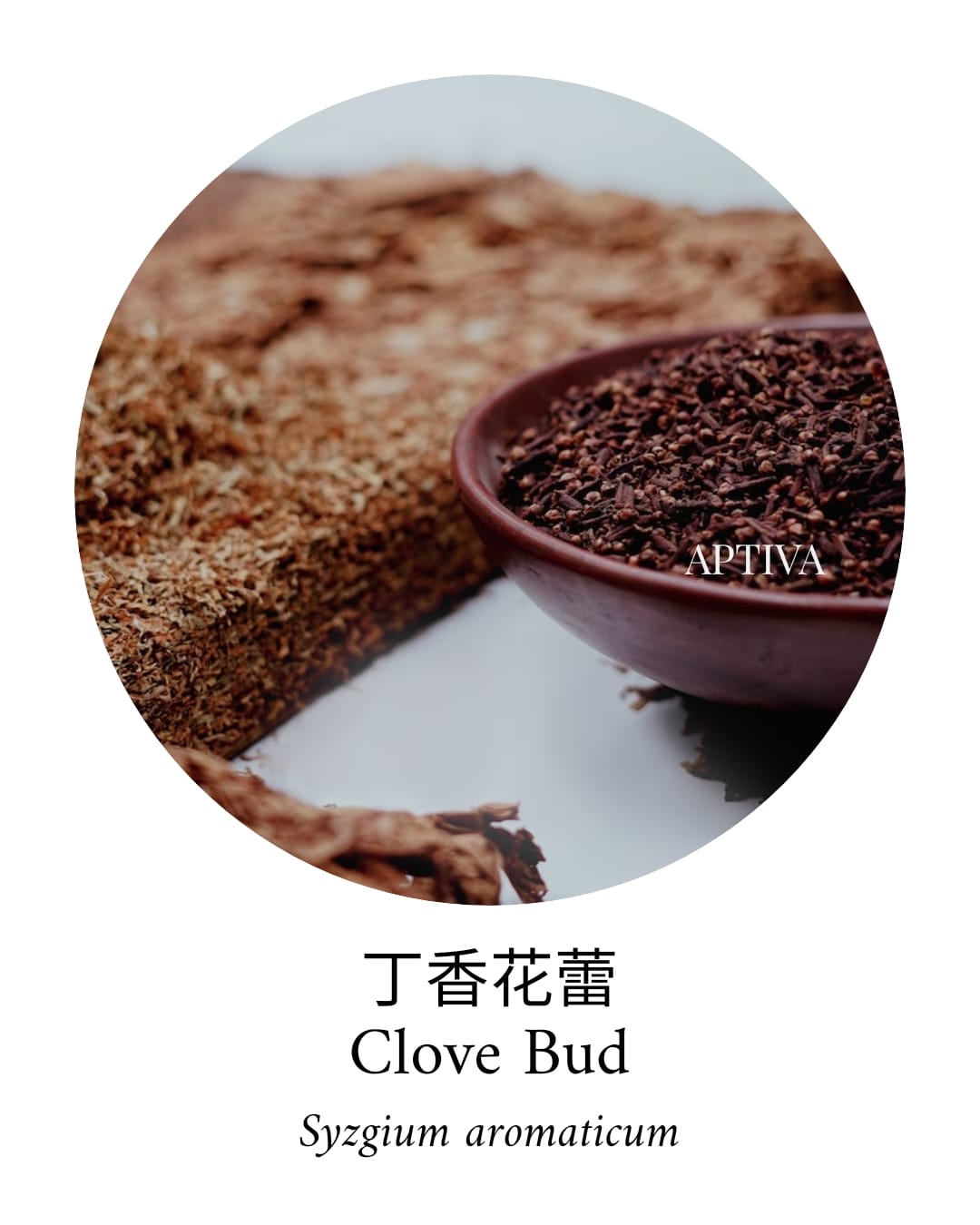 Organic Clove Bud Essential Oil - APTIVA Essential Oil