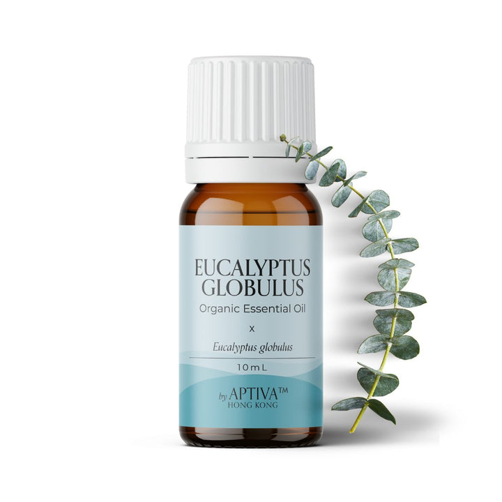 Organic Eucalyptus Globulus Essential Oil - APTIVA