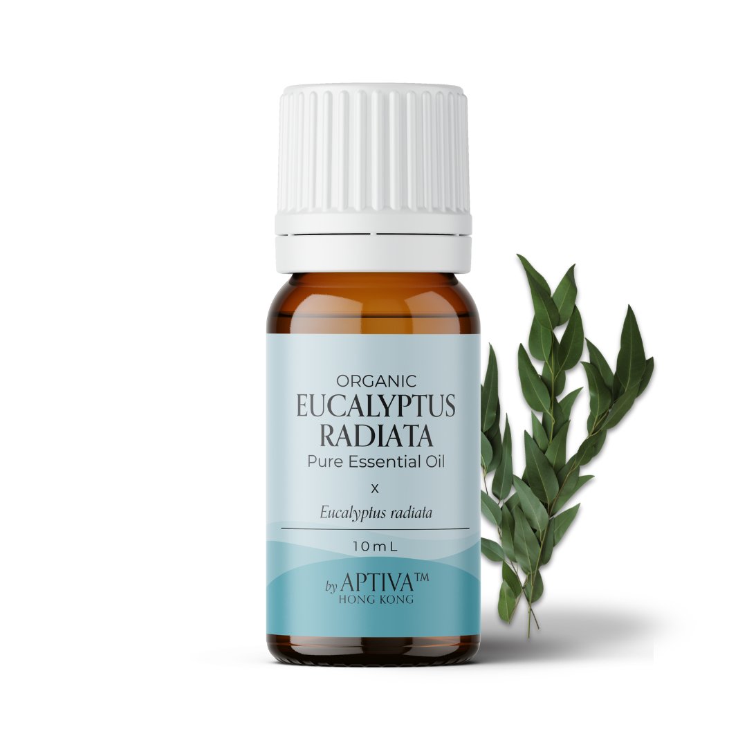 Organic Eucalyptus Radiata Essential Oil - APTIVA