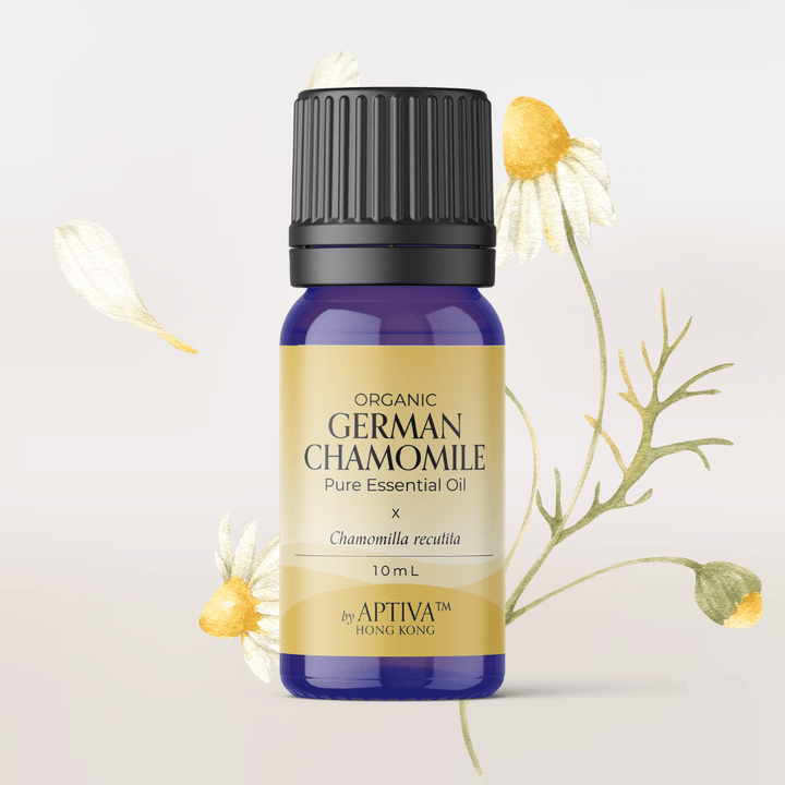 Organic German (Blue) Chamomile Essential Oil - APTIVA
