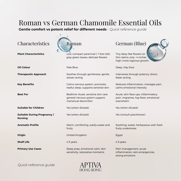 Organic German (Blue) Chamomile Essential Oil - APTIVA