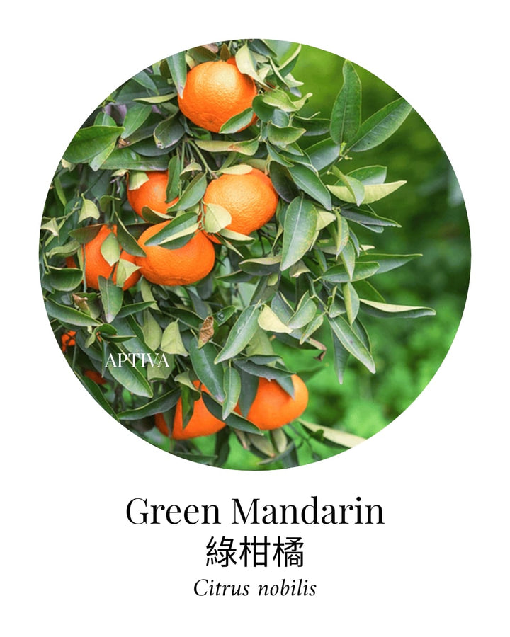 Organic Green Mandarin Essential Oil - APTIVA Essential Oil