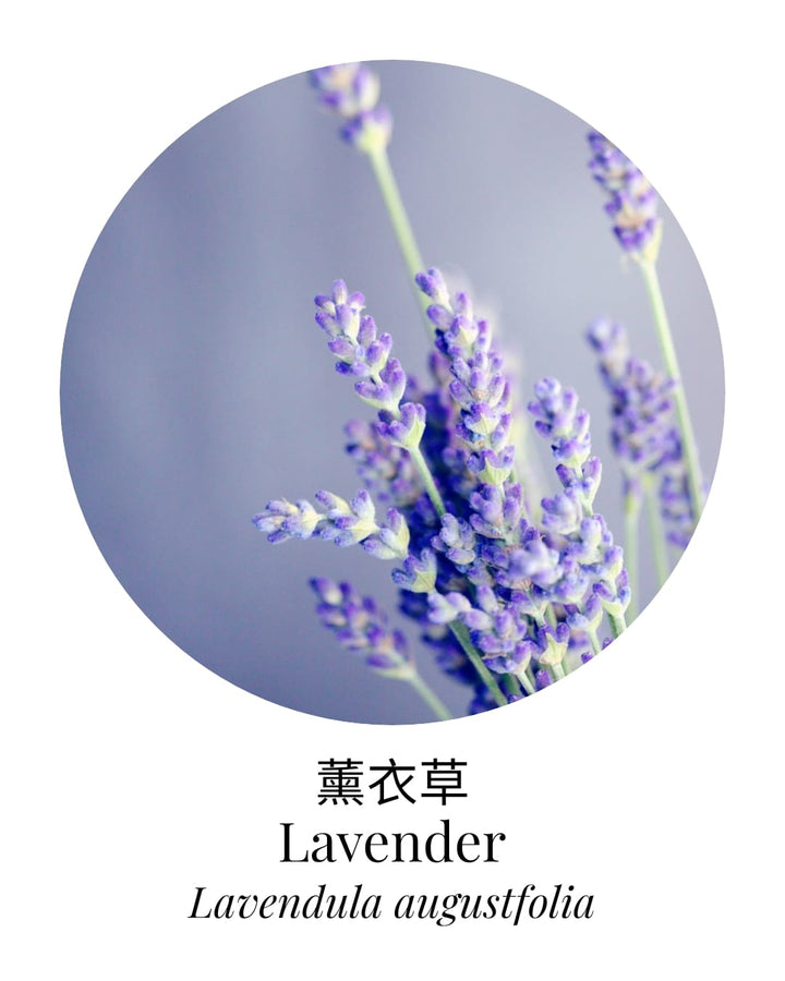 Organic Lavender Essential Oil - APTIVA Essential Oil