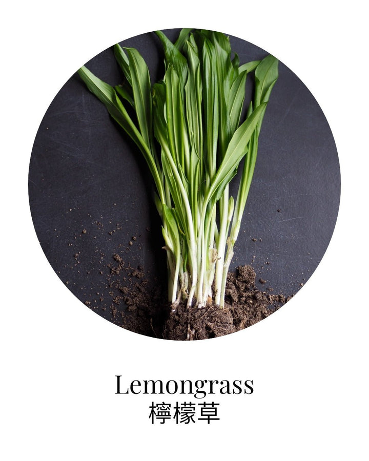 Organic Lemongrass Essential Oil - APTIVA 10mL Essential Oil