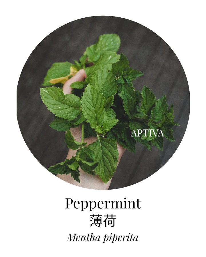 Organic Peppermint Essential Oil - APTIVA Essential Oil