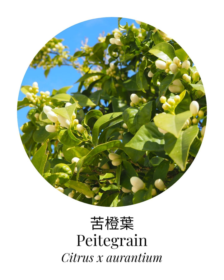 Organic Petitgrain Essential Oil - APTIVA Default Title Essential Oil