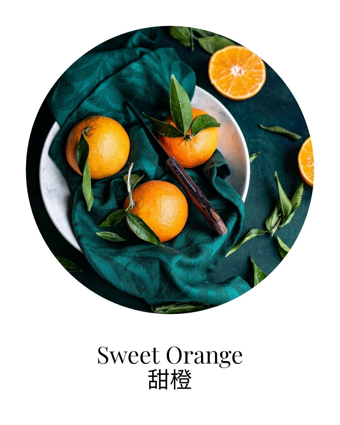 Organic Sweet Orange Essential Oil - APTIVA Essential Oil