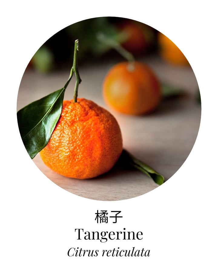 Organic Tangerine Essential Oil - APTIVA