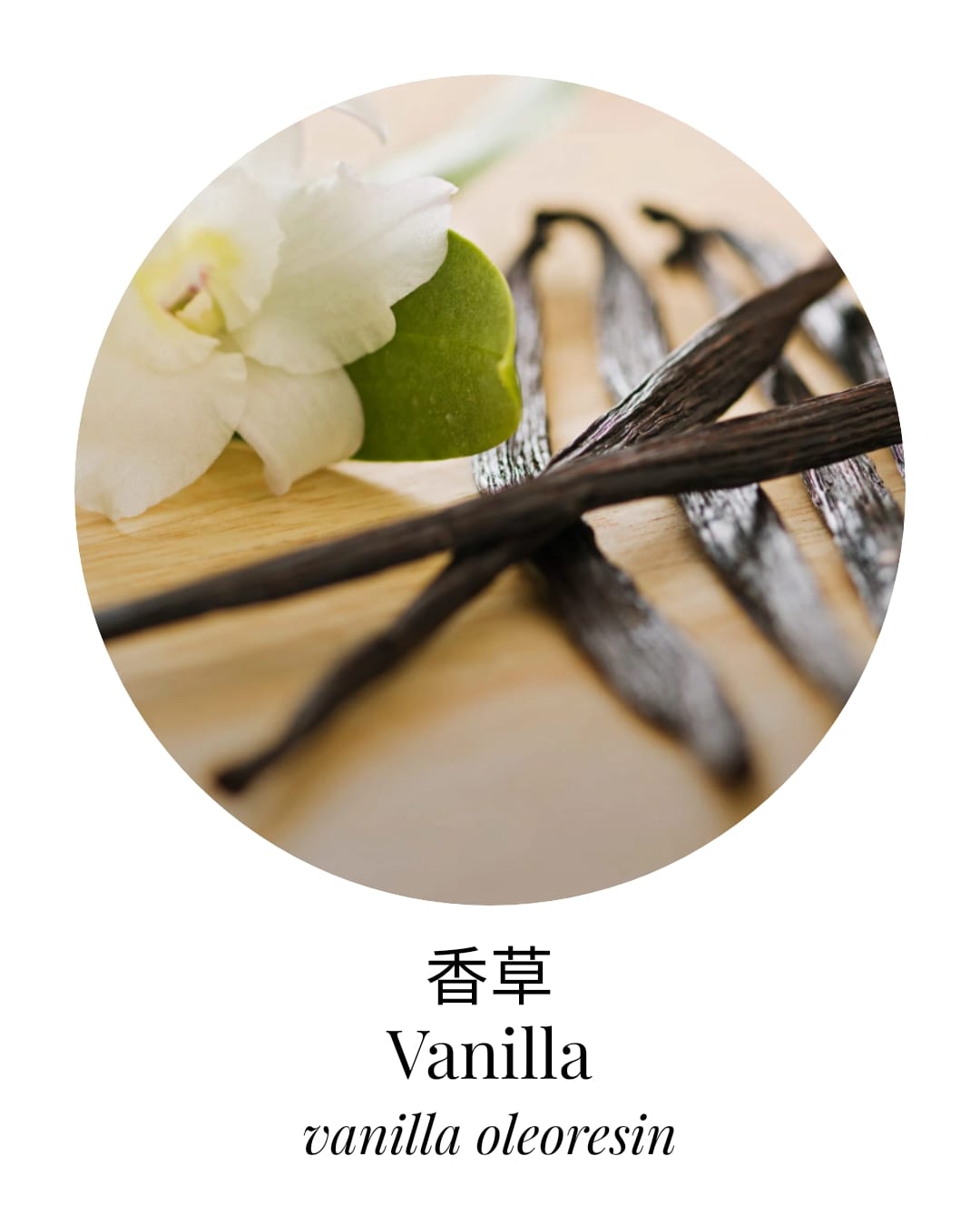 Organic Vanilla Botanical Extract - APTIVA Essential Oil