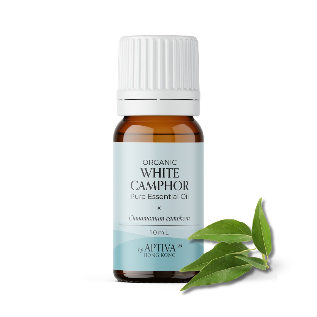 Organic White Camphor Essential Oil - APTIVA