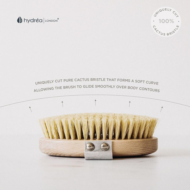 Professional Spa Dry Body Brush - APTIVA Body Brush