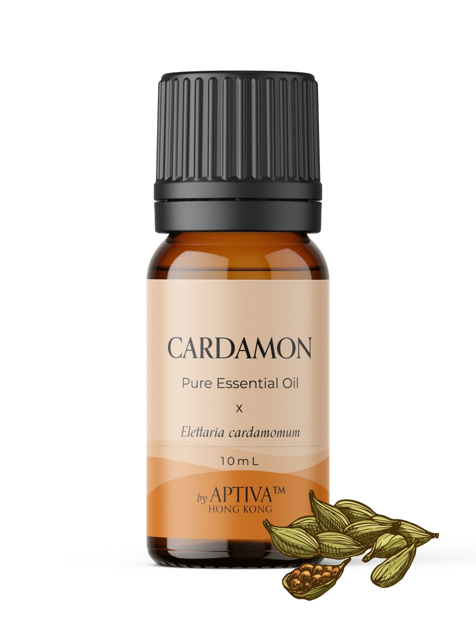 Cardamom Essential Oil - APTIVA