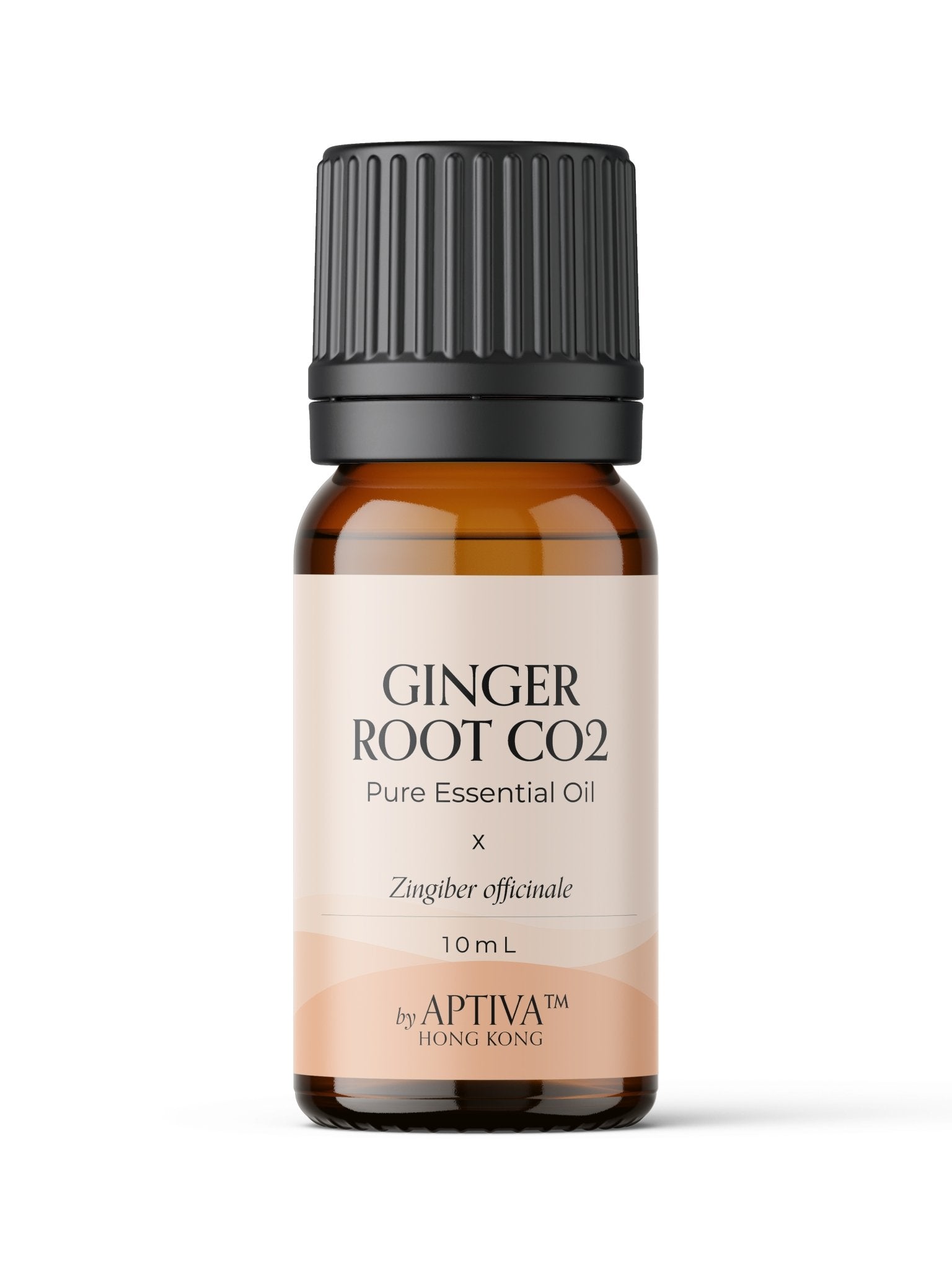 Ginger Root CO2 Essential Oil - APTIVA
