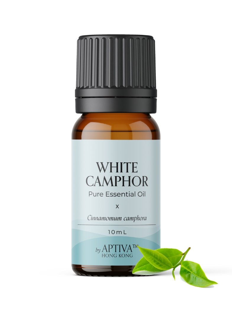 White Camphor Essential Oil - APTIVA